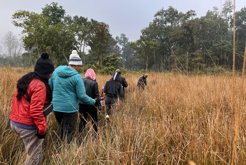 Chitwan Safari 03