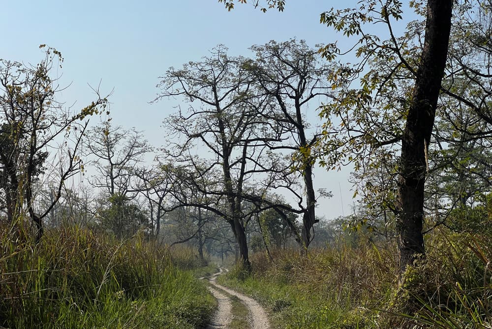 Chitwan Safari 04