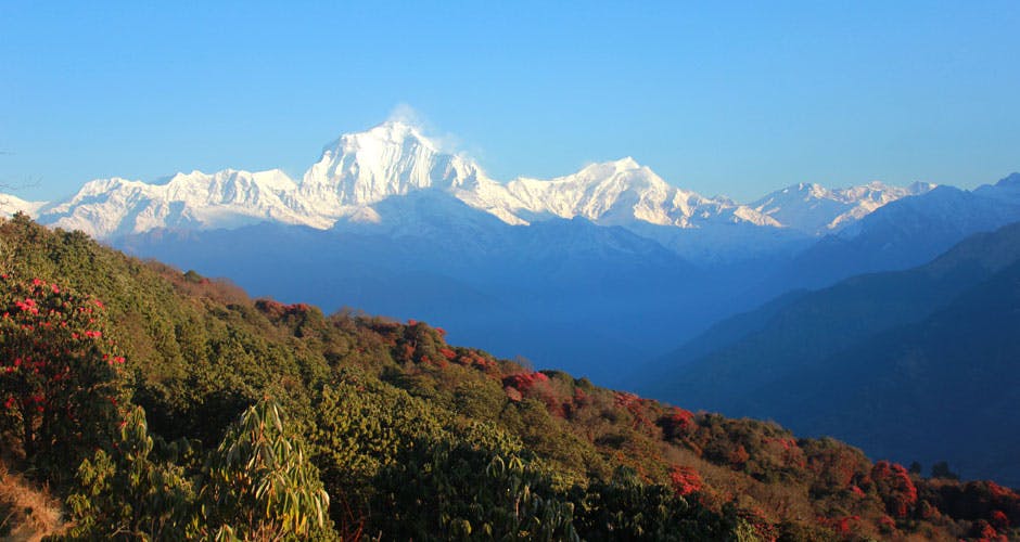 Dhaulagiri view from Poon Hill