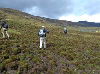 Bhutan: Dagala Trek and Tours